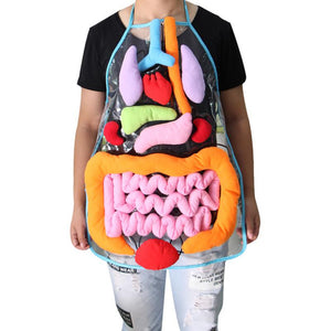 Body Anatomy Apron